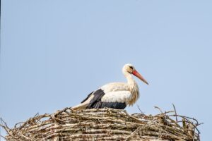 旦那の浮気に確信を持った後の再構築のコツは？