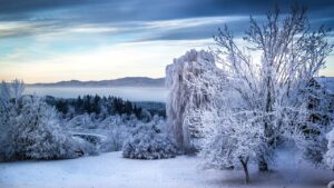 浮気による慰謝料の相場はどのくらい？