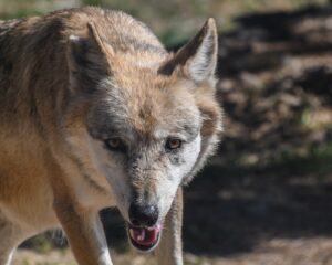 嫁の浮気が怪しい行動を見抜くためのチェックポイントは？