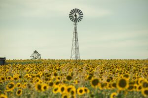 夫の浮気を誰にも相談できない時の対処法は？