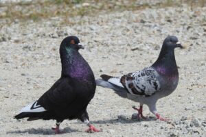 浮気の依頼をする前に知っておくべき注意点は？