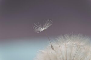 浮気の確信を持ったとき、相談する先はどこが最適？